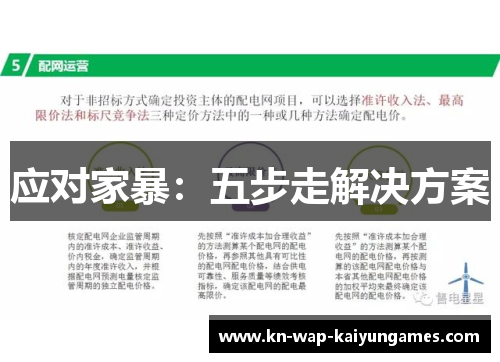 应对家暴：五步走解决方案