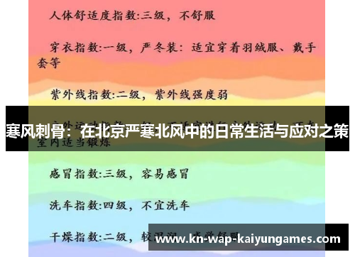 寒风刺骨：在北京严寒北风中的日常生活与应对之策
