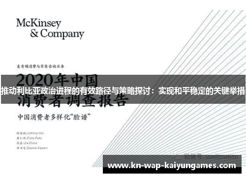 推动利比亚政治进程的有效路径与策略探讨：实现和平稳定的关键举措
