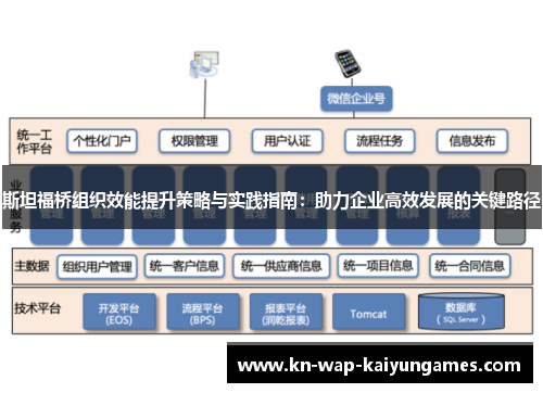 斯坦福桥组织效能提升策略与实践指南：助力企业高效发展的关键路径