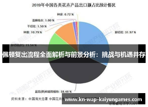 佩顿复出流程全面解析与前景分析：挑战与机遇并存