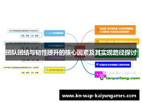 团队团结与韧性提升的核心因素及其实现路径探讨