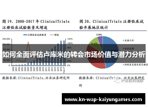 如何全面评估卢库米的转会市场价值与潜力分析 如何全面评估卢库米的转会市场价值与潜力分析