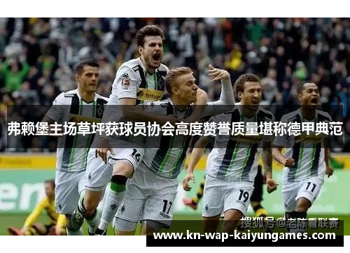 弗赖堡主场草坪获球员协会高度赞誉质量堪称德甲典范